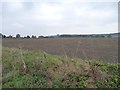 Farmland south-west of Pegsdon Common Farm