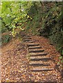 Steps from the Frome