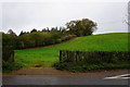 Rolling green field near Kerry