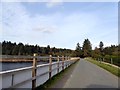 Road across the dam of Trenchford reservoir