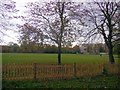 Cricket Pitch, Holland Park