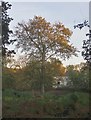 View towards Ladderstile Lodge in late October