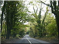 A346 near Leigh Hill Copse