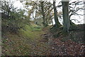 Bridleway to Pant-y-llidiart