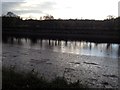 Low water on the Ribble