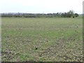 Greening field south-east of College Farm