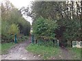 Footpath, Temple Wood