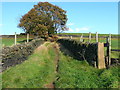 Sowerby Bridge Bridleway 28