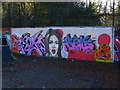SU8969 : Wall art, Longhill skateboard park by Alan Hunt