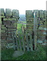 Stile and gate on Sowerby Bridge FP18