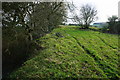 Field above the bridleway