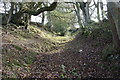 Bridleway below Pant-y-llidiart