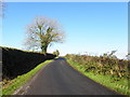 Lisconduff Road, Carnteel