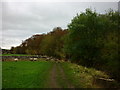 Riverside path, Grassington