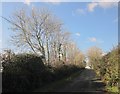 Lane approaching Dunstan Quoin