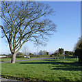 Green space at Top Street