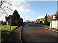 TM1991 : Lime Tree Avenue, Long Stratton by Geographer