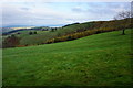 Hillside above Cwm