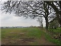 Grass fields, Broadstone.