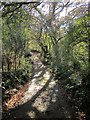 Crossing the Mill Leat