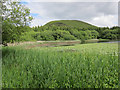 Llan Bwch-llyn Lake