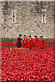 TQ3380 : Chelsea Pensioners visiting the Tower poppies by Ian Capper