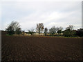 Chalkland  Way  crosses  planted  field