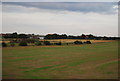 Farmland near Sutton On Trent