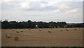 Bales near Askham