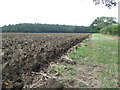 Ploughed Field