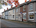 Bilston - terrace on Lewis Street - from west