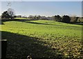 Field near Dupath