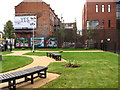 The Bridge Community Garden