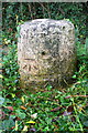 Milestone with benchmark beside Woodstock Road