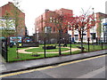 The Bridge Community Garden on Albertbridge Road