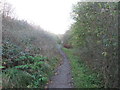 Bridleway through the woodland at Colne Edge