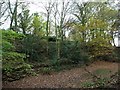 East bank, Barnsley Canal, west of Walton Hall