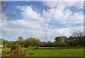 Nomansland, power lines