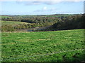 Grazing towards Lamouth Creek