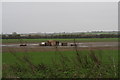 Turf field next to Square Plantation, Sand Lane, Barkston