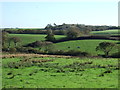 Rough grazing off  National Cycle Route 3