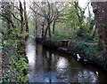 Ewenny River, Pencoed