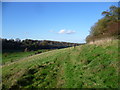 Footpath near Downe