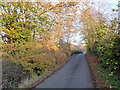 Autumn colours near Poplarglen