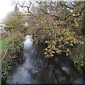 Ewenny River north of Felindre Road, Pencoed