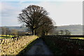 Bronte Way descending towards Haworth