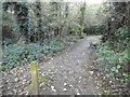 The entrance to Ham Common Woods on Ham Farm Road