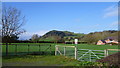 View to Llywn Bryn-dinas hill from Llangedwyn