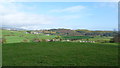 Sheep pasture below Llwyn Bryn-dinas near Llangedwyn