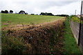 Footpath past Helston School